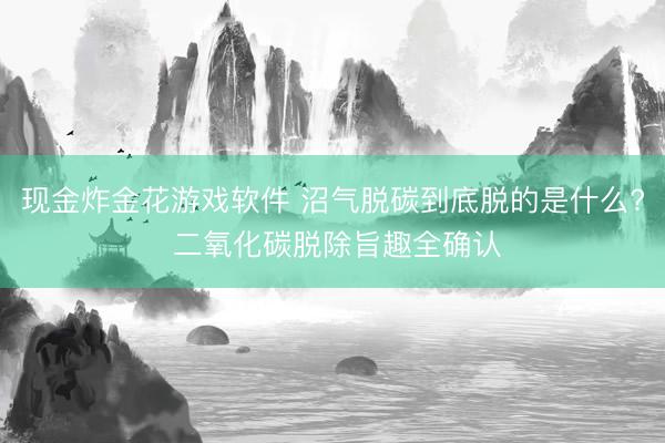 现金炸金花游戏软件 沼气脱碳到底脱的是什么? 二氧化碳脱除旨趣全确认