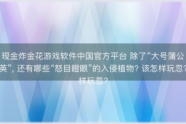 现金炸金花游戏软件中国官方平台 除了“大号蒲公英”， 还有哪些“怒目瞪眼”的入侵植物? 该怎样玩忽?