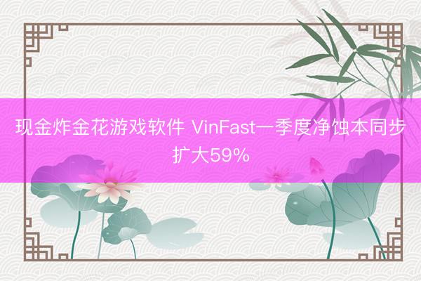 现金炸金花游戏软件 VinFast一季度净蚀本同步扩大59%