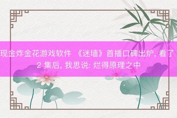 现金炸金花游戏软件 《迷墙》首播口碑出炉， 看了 2 集后， 我思说: 烂得原理之中