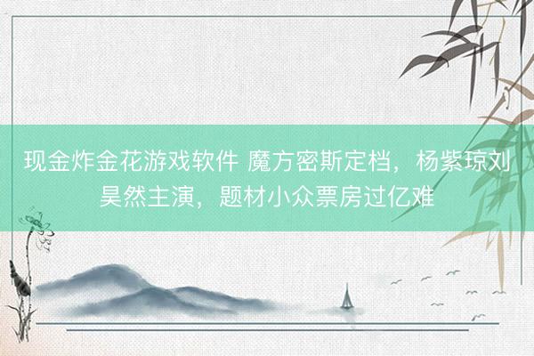 现金炸金花游戏软件 魔方密斯定档，杨紫琼刘昊然主演，题材小众票房过亿难
