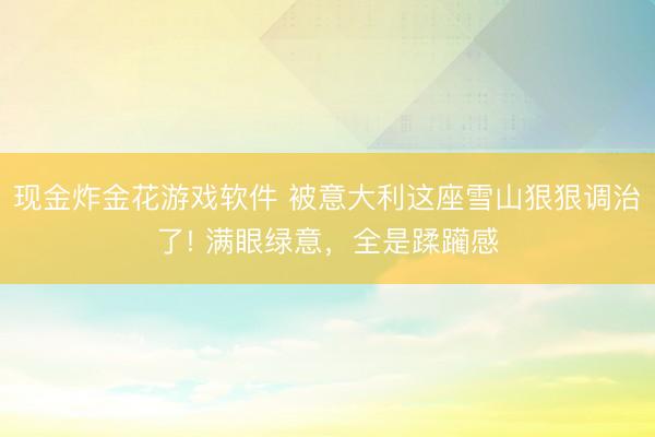 现金炸金花游戏软件 被意大利这座雪山狠狠调治了! 满眼绿意，全是蹂躏感